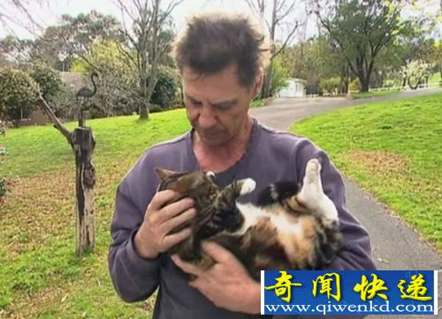 澳大利亚墨尔本房子突发大火虎斑猫深夜叫醒主人逃生