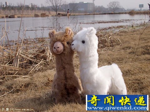 [ͼ]ոϵĲ ԭ
