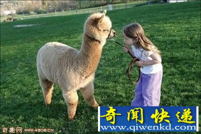 [ͼ]ոϵĲ ԭ