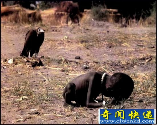 世界上最悲惨的29张照片 彻底震撼了