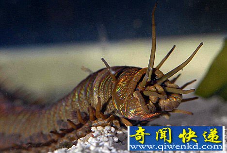 [ͼ]ӢˮݾϮɺ