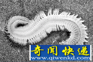 [ͼ]ӢˮݾϮɺ