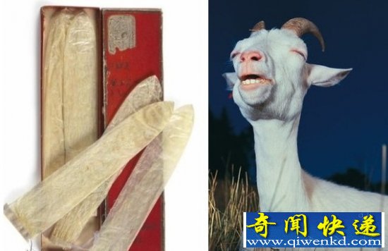 科学解谜:古代人是如何避孕的令人“喷饭”