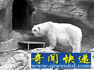 ٱȥ ڼʵʩ