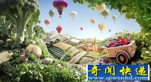 用蔬菜食品拍出艺术杰作 美呆了