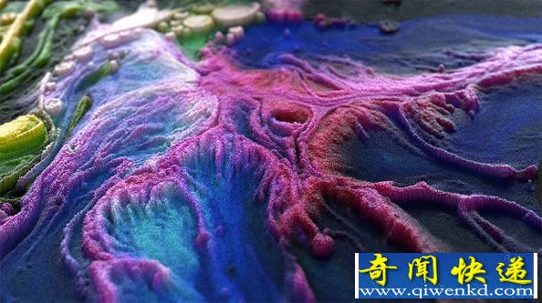 [ͼ]õ3DβͼƷ
