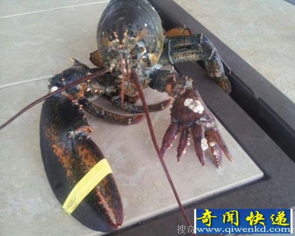 ̫ƽʵ棿ݲצϺ