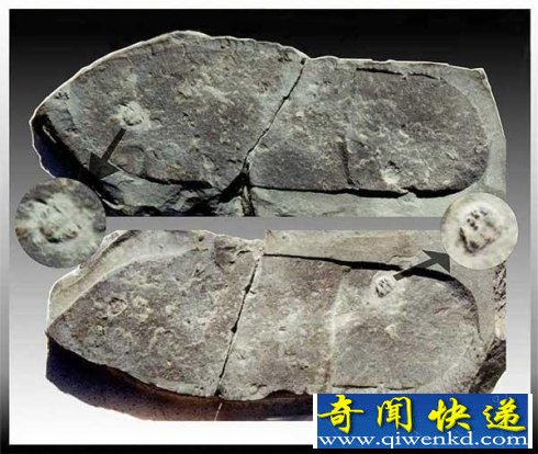史前文明是否存在?21个证明史前文明存在的证据