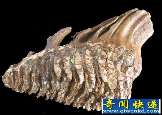 英科学家发现海底迷失的世界:堪称亚特兰蒂斯