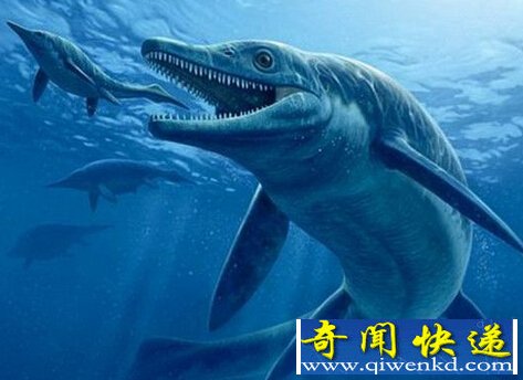 ���ŷ���ʷǰ���������� ���2.4������ʷ