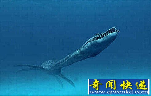 ���ŷ���ʷǰ���������� ���2.4������ʷ