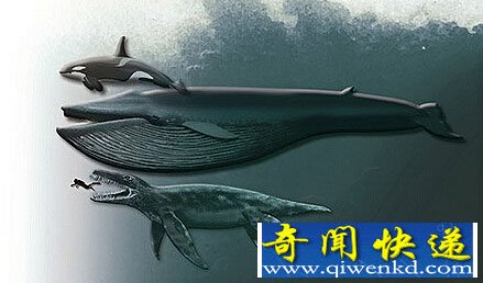 ���ŷ���ʷǰ���������� ���2.4������ʷ