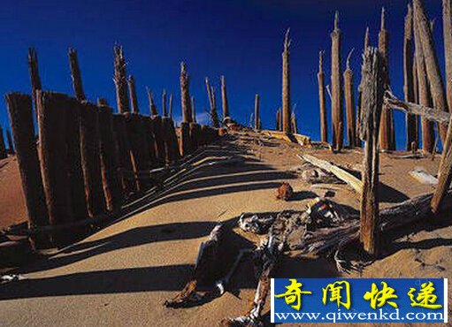 罗布泊双鱼玉佩事件真相|双鱼玉佩恐怖的图片|五张照片