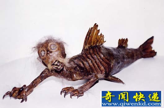 黑鳞鲛人是否真实存在?黑鳞鲛人的样子