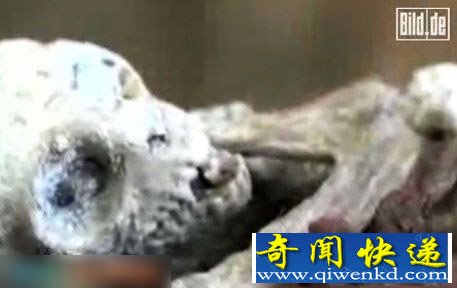 惊骇图集解秘麦田怪圈捕获外星人幼崽之谜
