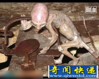 惊骇图集解秘麦田怪圈捕获外星人幼崽之谜
