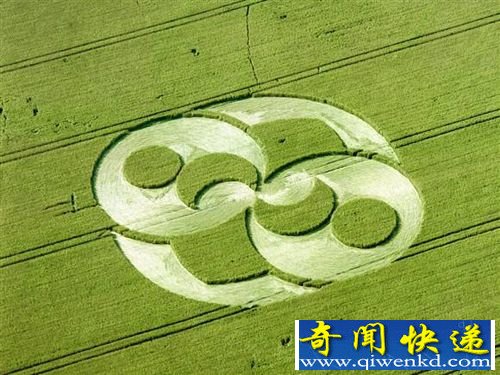 麦田怪圈里奇幻的四维世界是怎么形成的?