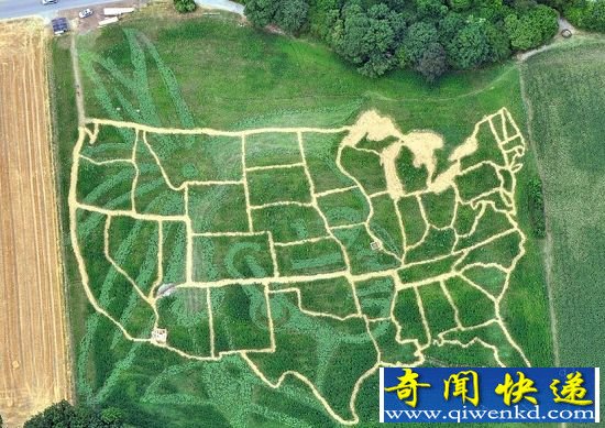 麦田怪圈吧 细数世界各地的麦田怪圈艺术