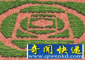 “谷歌地球”看西青 发现农田麦田怪圈图案