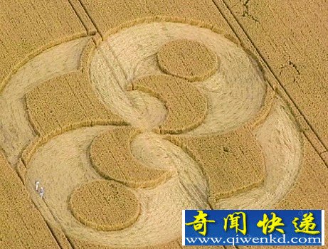 盘点世界各地出现的奇形怪状的麦田怪圈