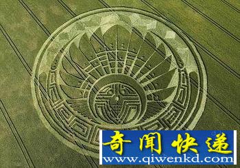 科学家称外星人已抵达地球之麦田怪圈