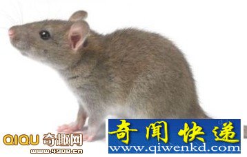 科学家他们已经发现第六感