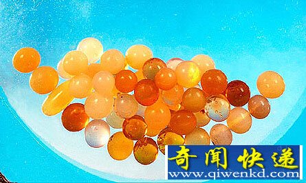浙江温州博物馆白象塔出土文物内惊现结晶舍利子
