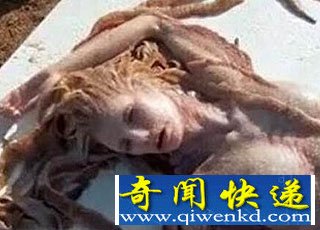 澳洲海滩渔民发现美人鱼尸体 神秘传说再度引爆