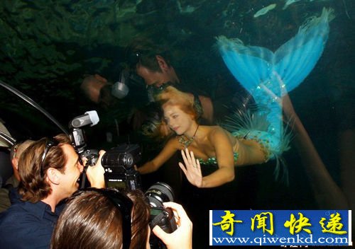 澳大利亚水族馆惊艳美人鱼成焦点