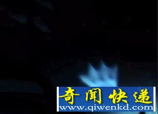 北冰洋发现疑似外星美人鱼生物