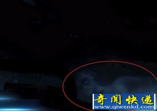 北冰洋发现疑似外星美人鱼生物