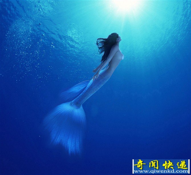 鲛人图片 鲛人长什么样子?