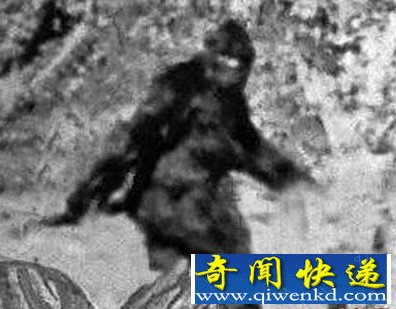 美企用远程控制潜行飞艇搜寻大脚野人踪迹