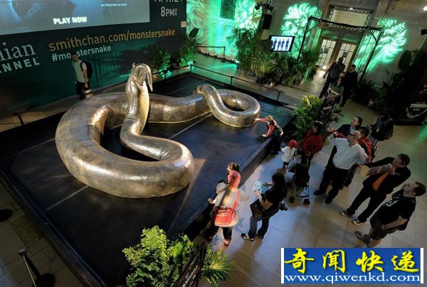 科学家复原超级史前巨蟒:15米长重1吨吞鳄鱼