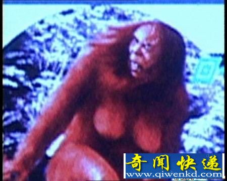 中国20位专家再次前往神农架科考野人