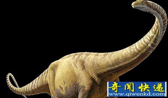 解密:最大的恐龙是如何移动如此沉重的身躯?
