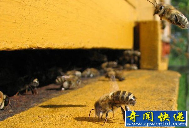 盘点科学无法解释的5大自然现象有哪些