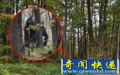 盘点世界十大未解之谜有哪些?