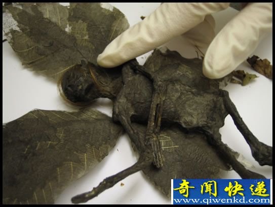 世界上第一个货真价实的精灵