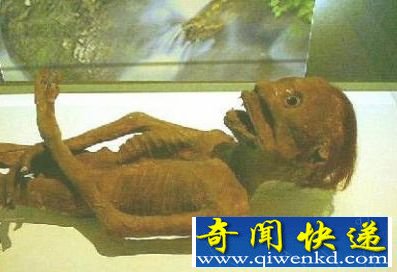 河童是什么?河童事件是真的吗?河童的特征是什么?