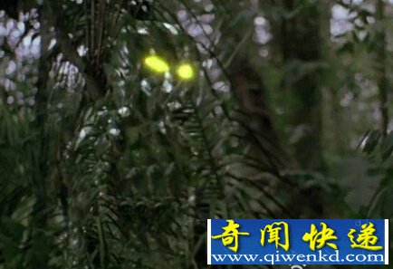 科学家研发新型“声学斗篷” 或可借助声音波形隐身