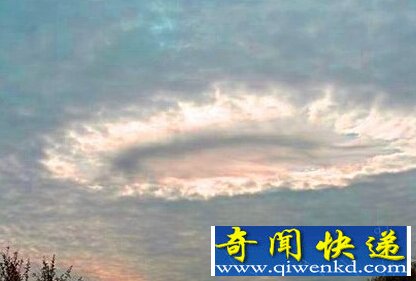 大气中存在“凝胶状”生物 靠捕猎鸟类为食