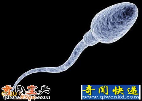 精液滋补人吗 雌性生物可将雄性精液当作“超级食物”