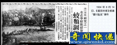 真龙被首次发现并拍摄 图揭真龙尸体和标本