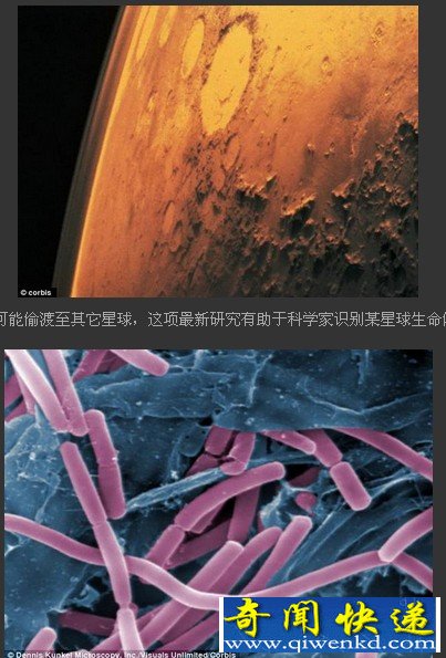 地球超级微生物可能偷渡火星成为新殖民者