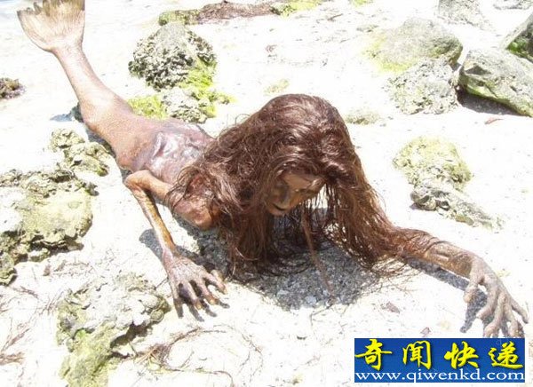 世界上美人鱼真的存在吗? 美人鱼真身吓人图片