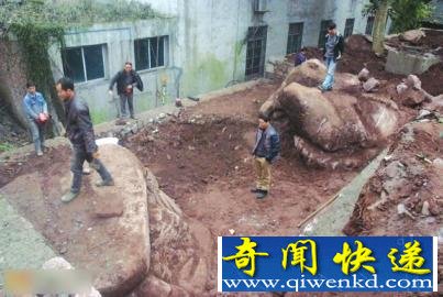 四川一古宅挖出20吨重“螃蟹蟾蜍”形状巨石