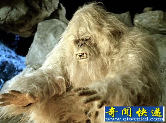雪人可能是喜马拉雅山熊 是一种史前生物的后代