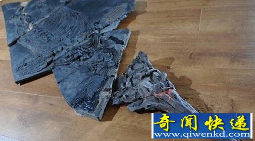英国境内发现两亿年前一具完整鱼龙骨骼化石 重量达60公斤