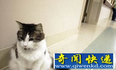盘点世界上七大不道德的科学实验
